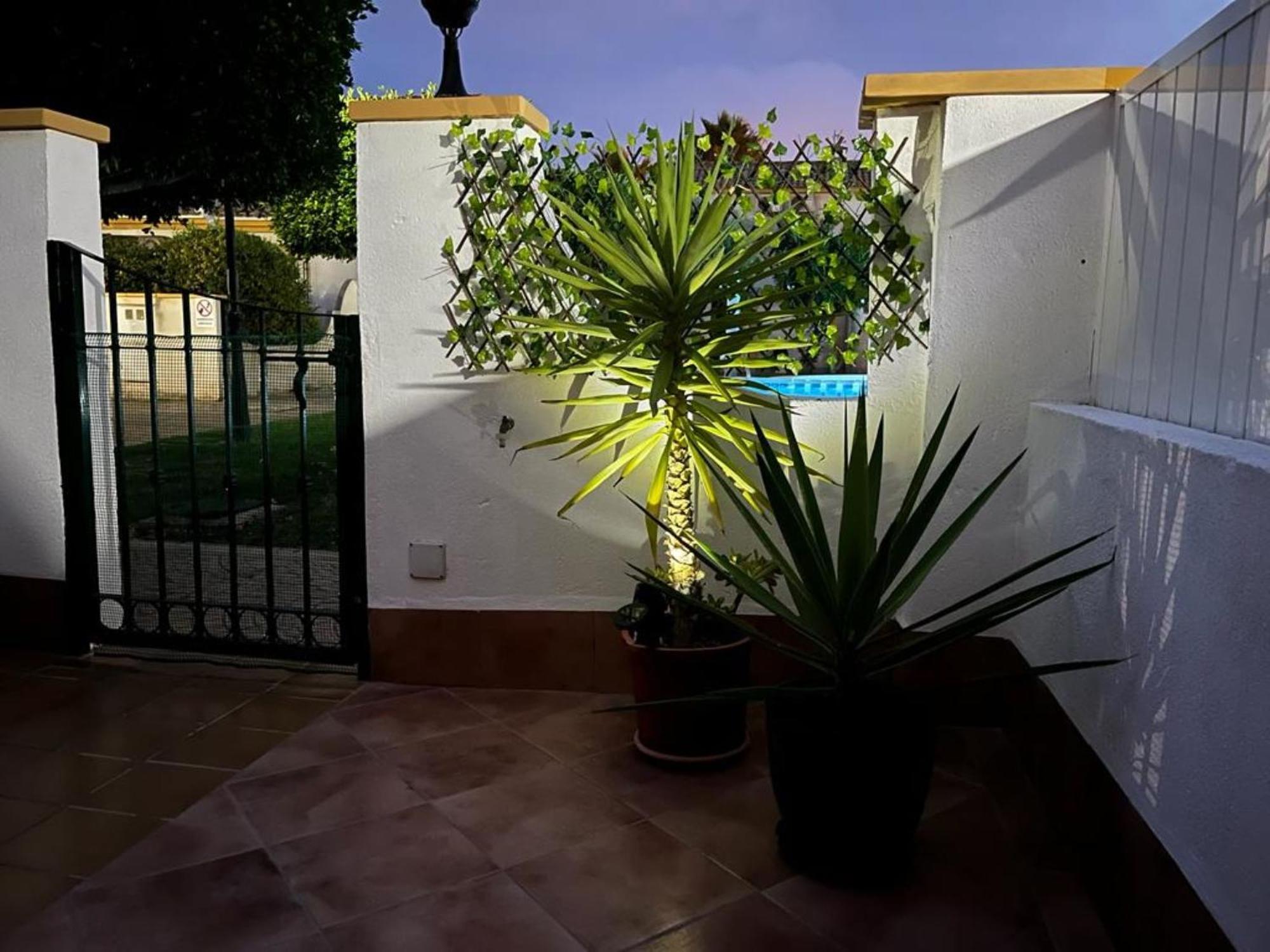 Apartamento "Margarita" Cabo Roig Zewnętrze zdjęcie