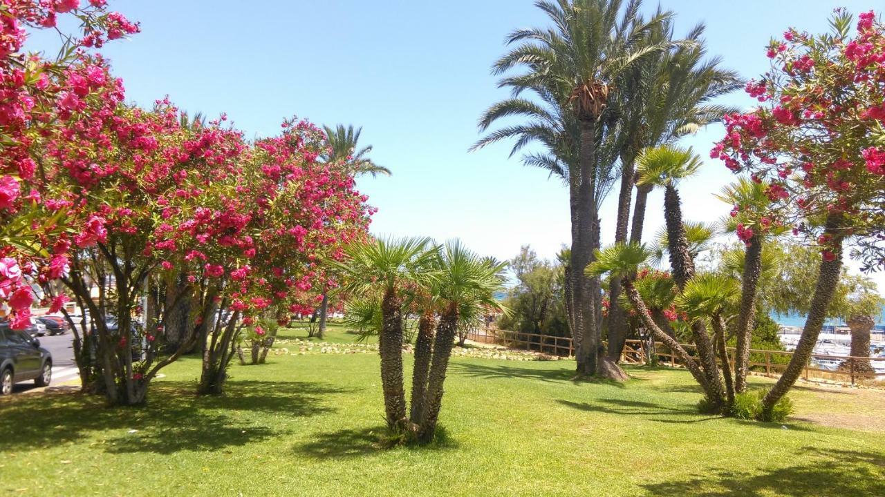 Apartamento "Margarita" Cabo Roig Zewnętrze zdjęcie