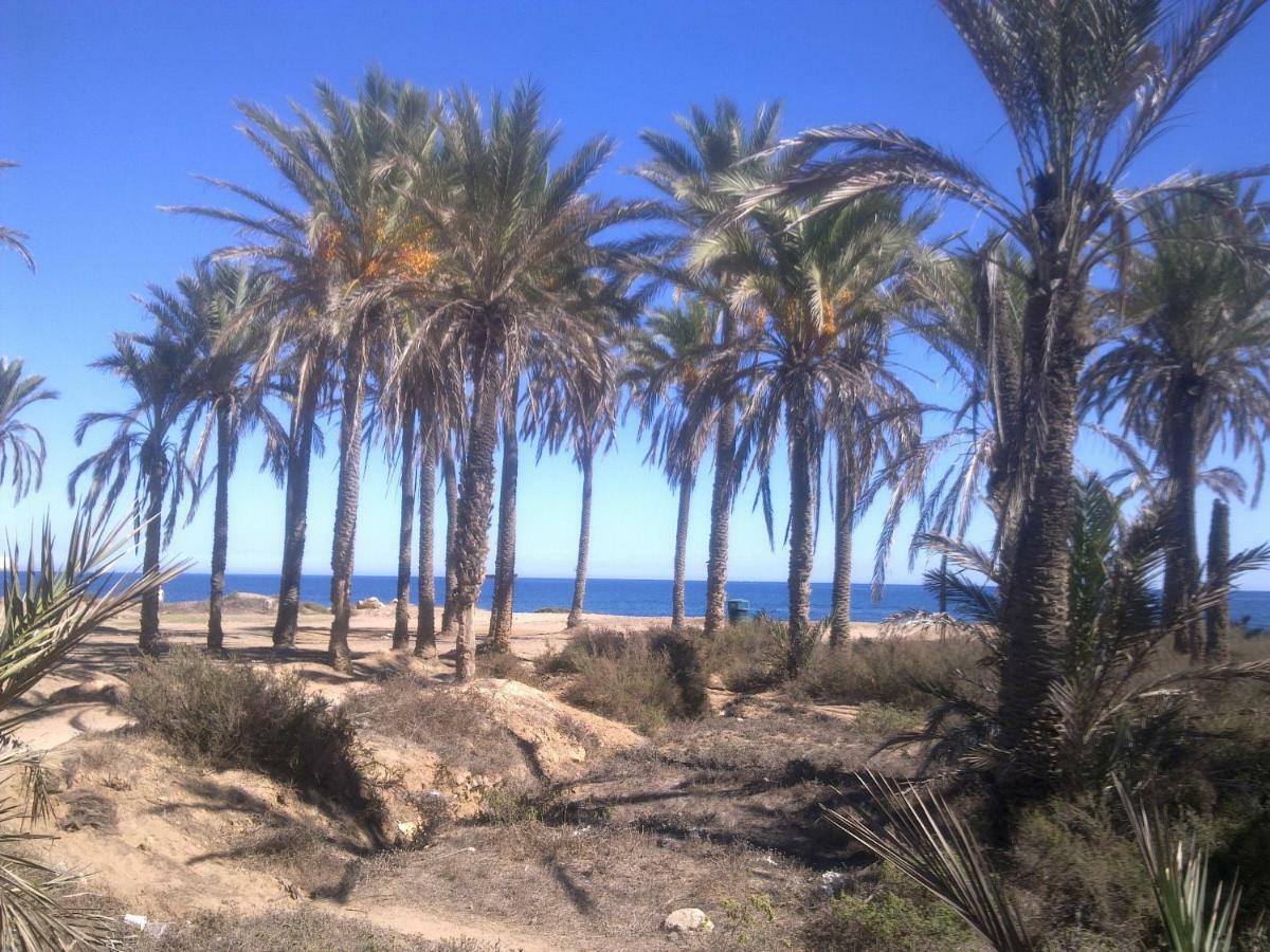 Apartamento "Margarita" Cabo Roig Zewnętrze zdjęcie